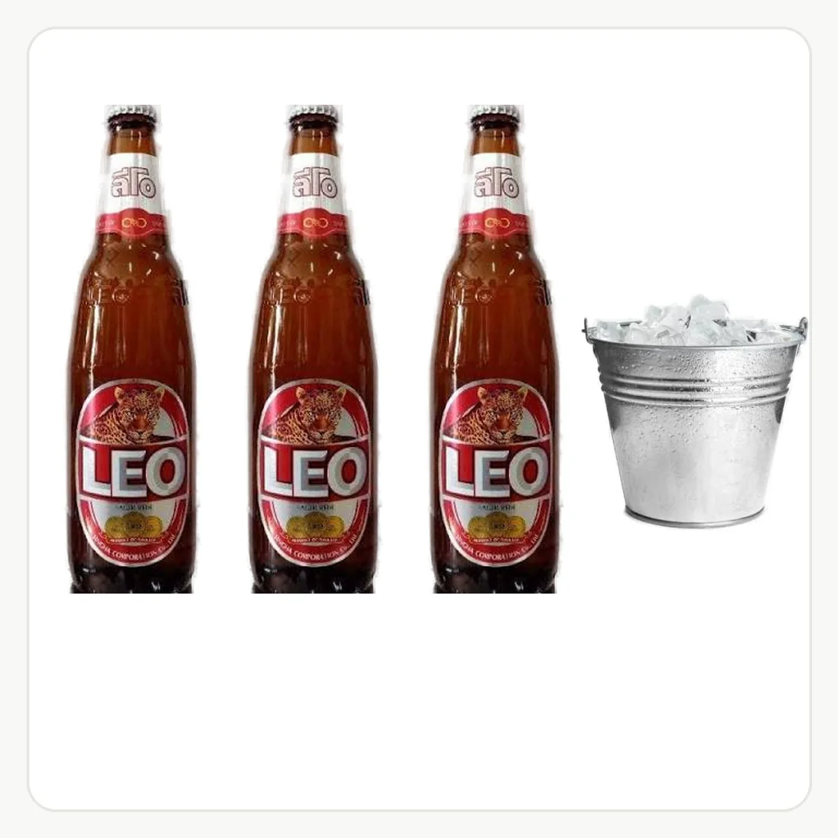 โปร เบียร์ลีโอ3 + น้ำแข็ง1ถัง เมนูจริงจาก Easychill